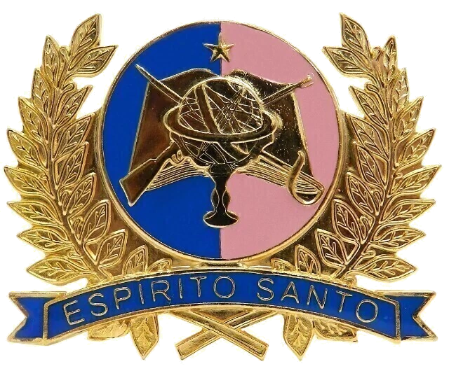 Insígnia institucional enviada